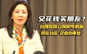 又花钱买朋友？台媒宣称立陶宛年底前将在台设“企业办事处”