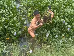 千年王八万年龟