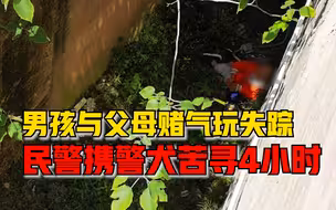 10岁男孩与父母赌气躲进胡同玩失踪，民警调监控携警犬苦寻4小时