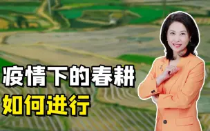 三农三人谈：疫情下的春耕如何进行？