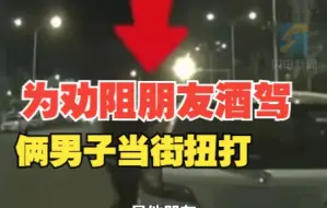 为劝阻朋友酒驾 俩男子当街扭打 交警：这个朋友要记一辈子好