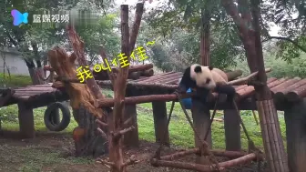 我没有蹭单杠的热度 但我是真的强
