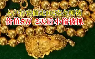 男子入户行窃偷走102克金项链：价值5万元，2天后被抓