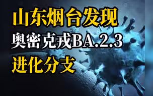 山东烟台发现奥密克戎BA.2.3进化分支，国内此前尚未发现