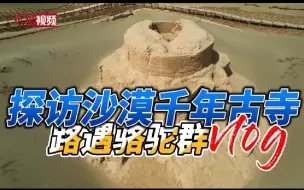 探访沙漠千年古寺 偶遇骆驼群