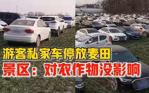 景区回应游客车辆停放麦田：景区承包的，对农作物没产生影响