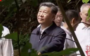 一张徐徐铺展的蓝图