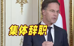 因在这项政策上的内部分歧！荷兰政府集体辞职