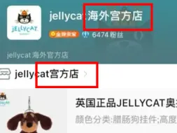“官方店”变“宫方店”？网购平台上的山寨“旗舰店”频现