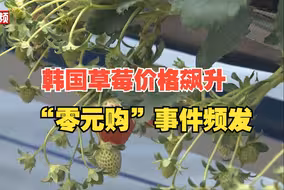 韩国草莓价格飙升，有人连夜偷走农场几十箱新鲜草莓，农场主人：头回遇到！