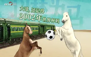 一匹马居然比我懂世界杯？！