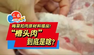 三农未知数丨梅菜扣肉原材料塌房！“槽头肉”到底是啥？