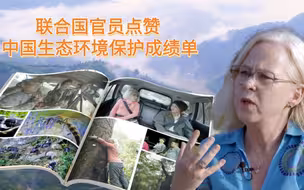 沉浸式感受生物多样性之美！联合国官员点赞中国生态环境保护成绩单