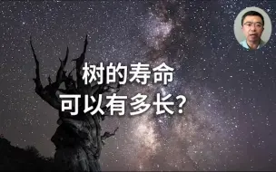 树的寿命可以有多长？