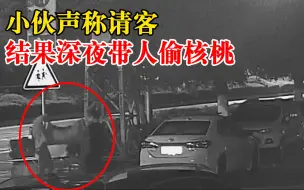 小伙说要请客结果深夜带人偷核桃：为方便搬运还顺走垃圾车