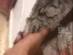 教育局回应三亚一小学教学楼墙体开裂：先整体搬到其他小学办学，住建部门正在鉴定楼房质量