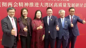 港澳地区代表委员研讨贯彻全国两会精神