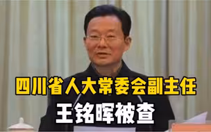 四川省人大常委会副主任王铭晖涉嫌严重违纪违法，接受中央纪委国家监委审查调查