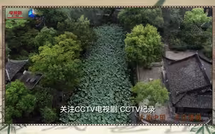 杨子姗带你感受苏州之美