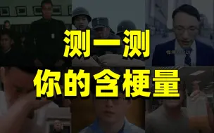 【互动视频】2021 网 络 热 梗 考 试