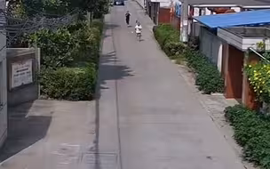 偷车贼见到民警拔腿就跑 女辅警狂追将其抓获 小车司机做法引网友怒赞