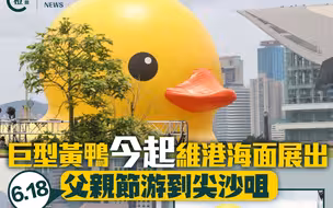 巨型黄鸭进驻维港！吸引大批市民争相打卡~