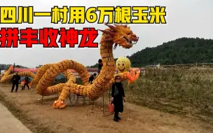 四川一村用6万根玉米搭丰收神龙：庆祝丰收同时为当地创收