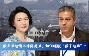 欧洲深陷俄乌冲突泥淖，如何摆脱“猴子陷阱”？
