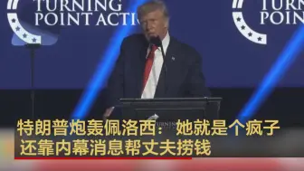 特朗普炮轰佩洛西：她就是个疯子 还靠内幕消息帮丈夫捞钱