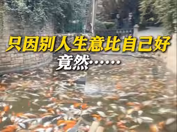 一池子锦鲤全死了！重庆公安通报：男子将杀虫剂倒入鱼池