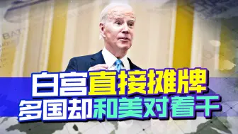 哈里斯访非拉盟友，白宫摊牌，要击败中国，不料多国和美对着干