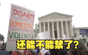 美民众在最高法院前集会 呼吁禁止家暴者持枪