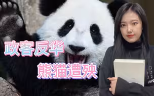 “反华”内卷！走投无路的美国政客，盯上熊猫和冰墩墩