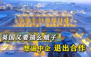 英国又要毁约？英媒透露约翰逊计划逼走中国企业，美国是背后主使
