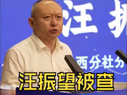 汪振望被查