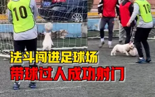 法斗闯进足球场带球过人成功射门，踢球学生：它是这里的老大哥
