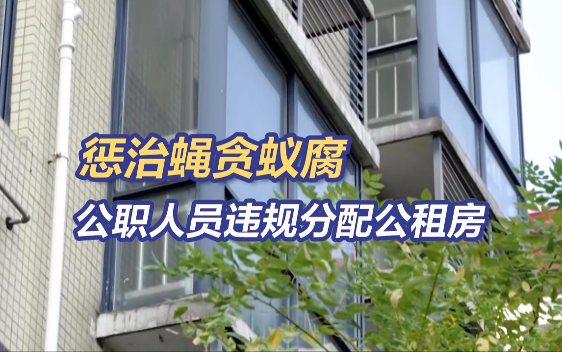 惩治蝇贪蚁腐丨公职人员把12套公租房分配给自己亲友