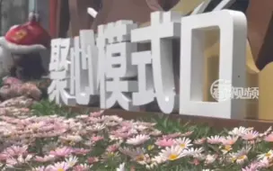 花色生香的模式口老街，成京城夏日打卡地！