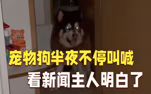 宠物狗半夜不停叫喊 第二天看新闻主人明白了...