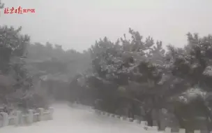 北京高海拔山区出现降雪，雪量还真不小！
