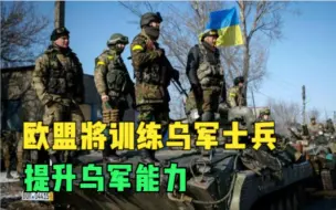 欧盟将训练乌军士兵 提升乌军能力