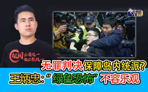 无罪判决保障岛内统派？王炳忠：“绿色恐怖”不容乐观