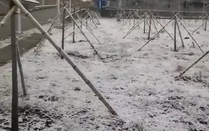 北京怀柔、延庆等多地降雪 现场市民直呼：满山全是雪啊
