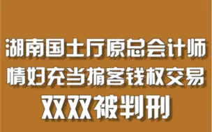 湖南国土厅原总会计师，情妇充当掮客钱权交易，双双被判刑