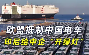 欧盟电车税落地，中方称将采取措施，法国担心报复，印尼是明白人