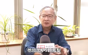 蔡英文媚日送安倍菠萝！前蓝营民代讽：搞得像送外卖的，要这样讨好日本吗？
