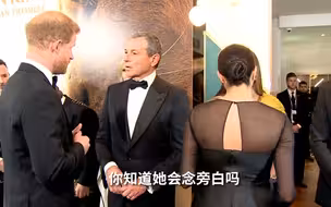 早有准备？哈里王子曾向迪士尼CEO引荐梅根