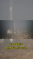 百山祖国家公园里的野生动物你认识几种？