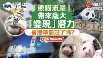 熊猫经济｜「熊猫流量」带来庞大「变现」潜力　香港准备好了吗？