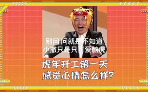 何为高情商？撒贝宁：高情商就是得体！